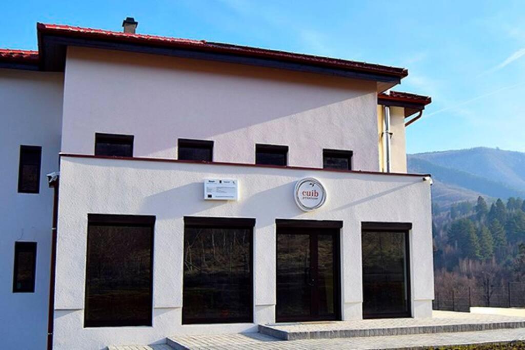 Pensiunea Cuib Cisnădioara Exterior foto